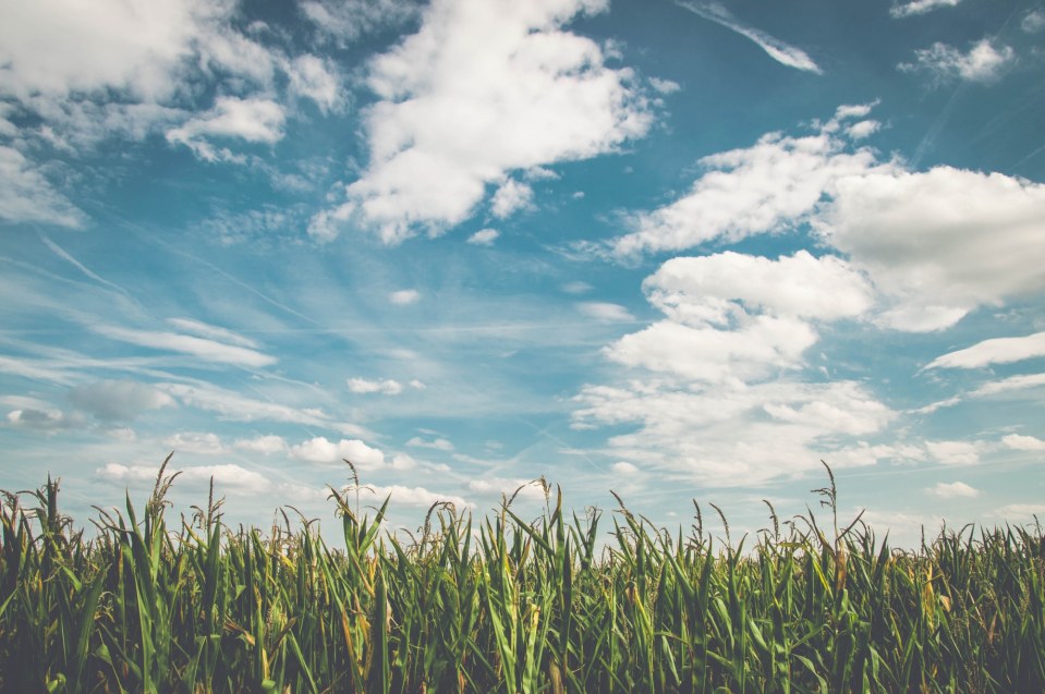 Resealing of Probate - the process of dealing with NZ assets if a person dies whilst overseas