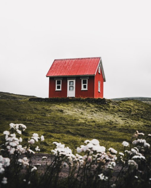 Property Law Basics